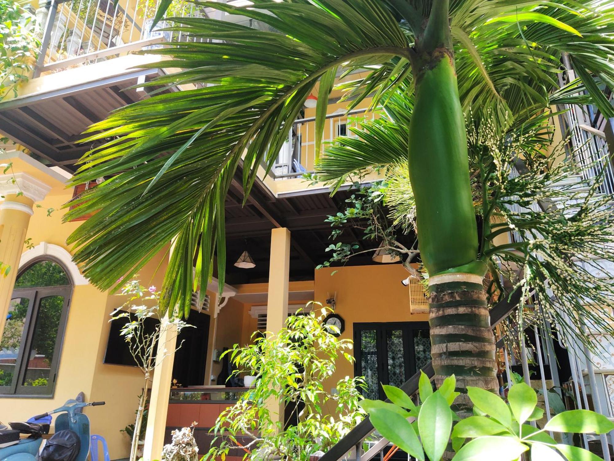 Q' Homestay Garden Villa Hue Exterior photo